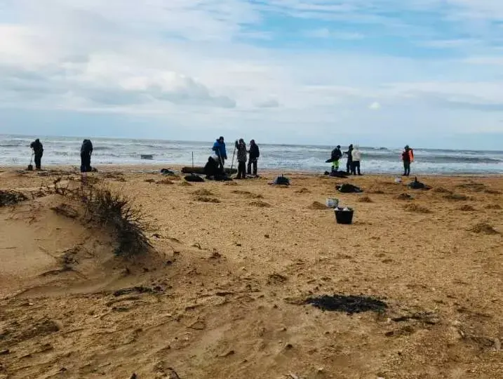 Уборка последствий разлива мазута в Краснодарском крае. 18 декабря 2024 года. Фото: оперштаб, Краснодарский край