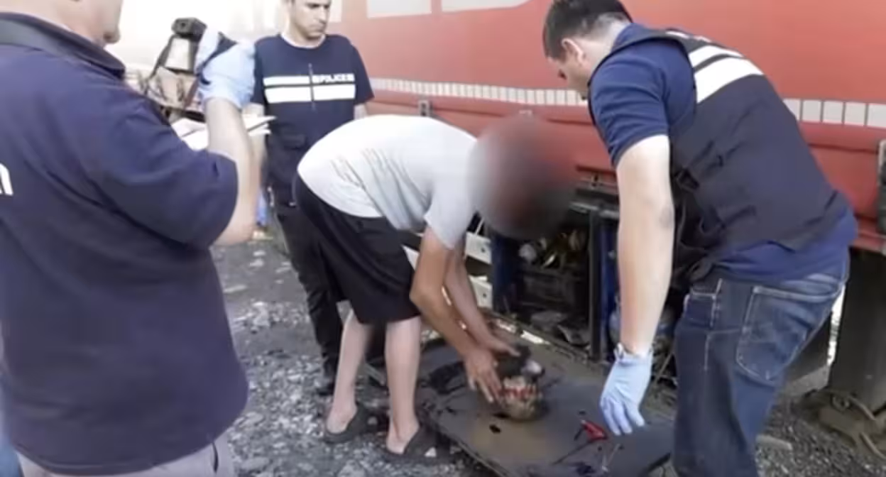 фото: "Новости Грузия"